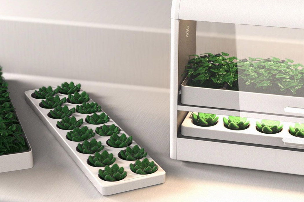 seeder，Botany，lamp，