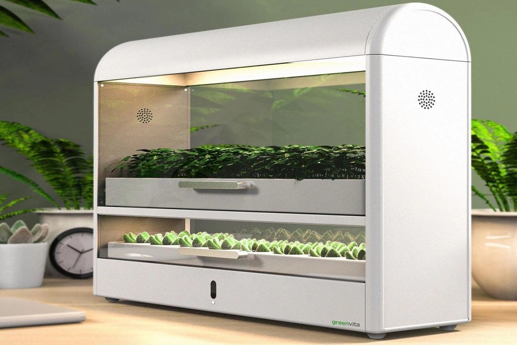 seeder，Botany，lamp，