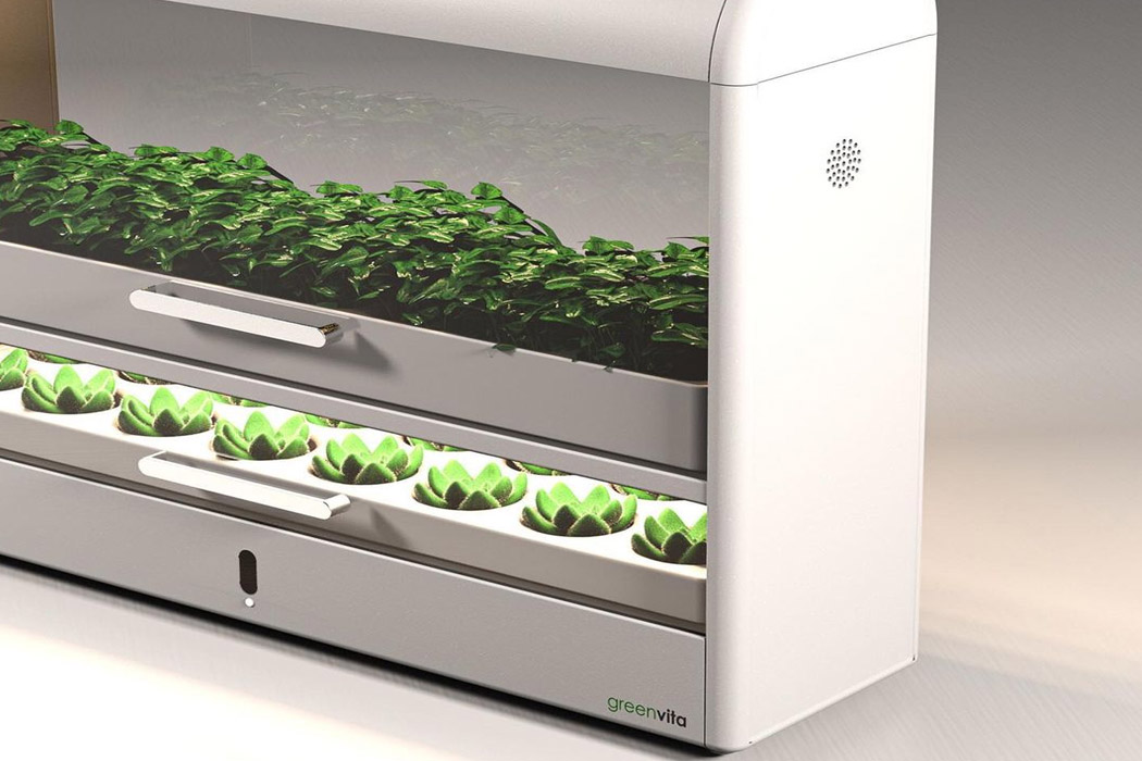 seeder，Botany，lamp，