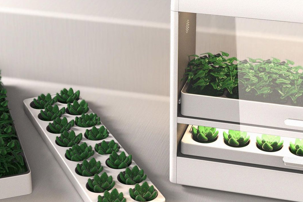 seeder，Botany，lamp，