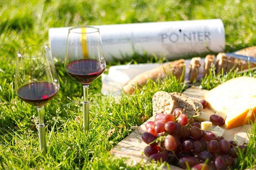 Special for lawn，Wine cup，Pointer，Pour the glass of red wine on the ground，