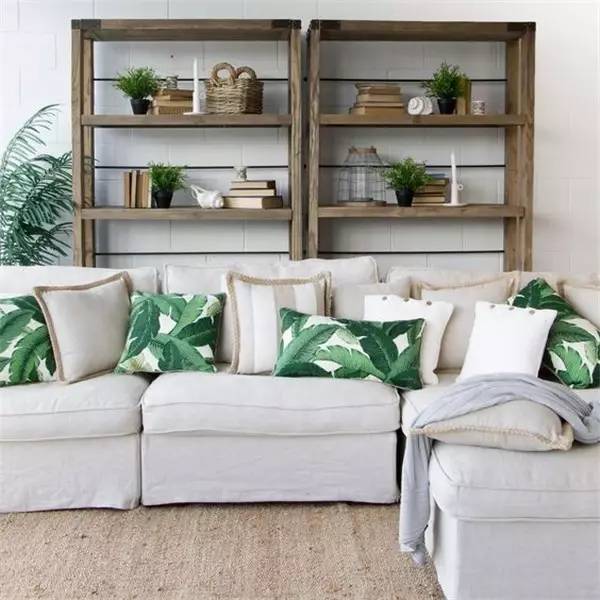 Soft outfit，indoor，Plant elements，natural，