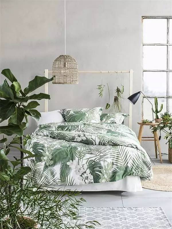 Soft outfit，indoor，Plant elements，natural，