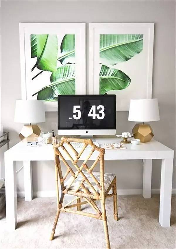 Soft outfit，indoor，Plant elements，natural，