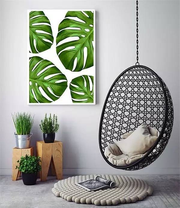 Soft outfit，indoor，Plant elements，natural，