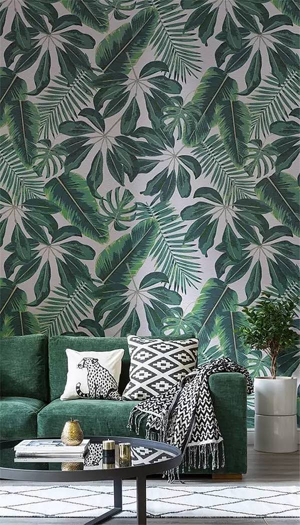 Soft outfit，indoor，Plant elements，natural，