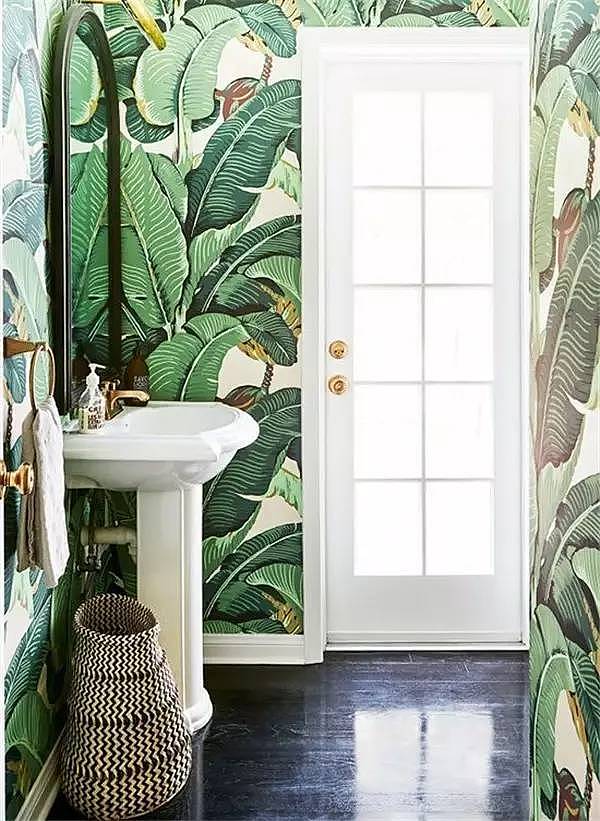 Soft outfit，indoor，Plant elements，natural，