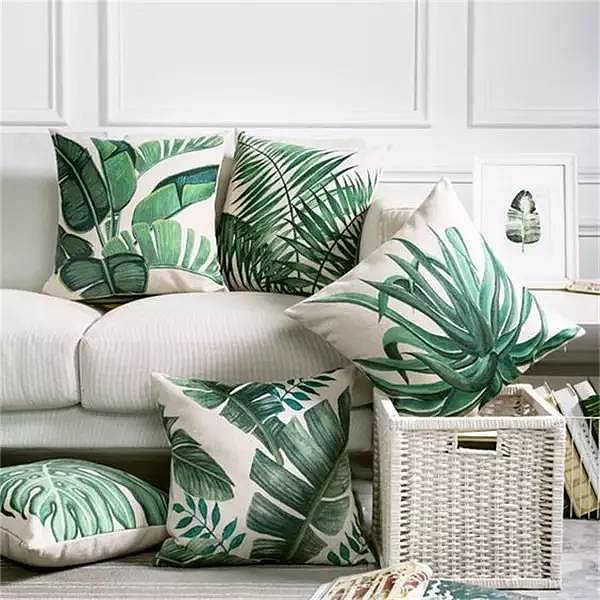 Soft outfit，indoor，Plant elements，natural，