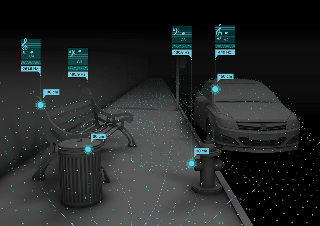 wearable devices ，Visually impaired，3D sensor，video camera，