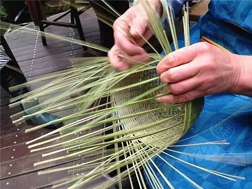 bamboo，