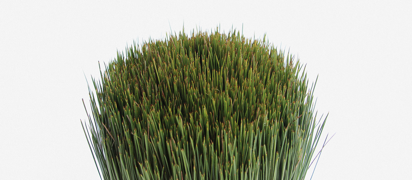 Outside / Inside，container，Store things，