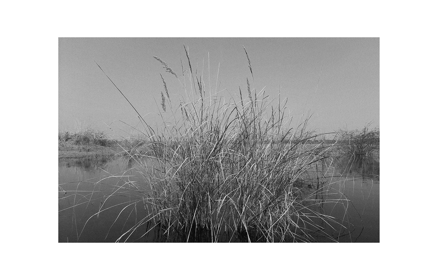 Outside / Inside，container，Store things，