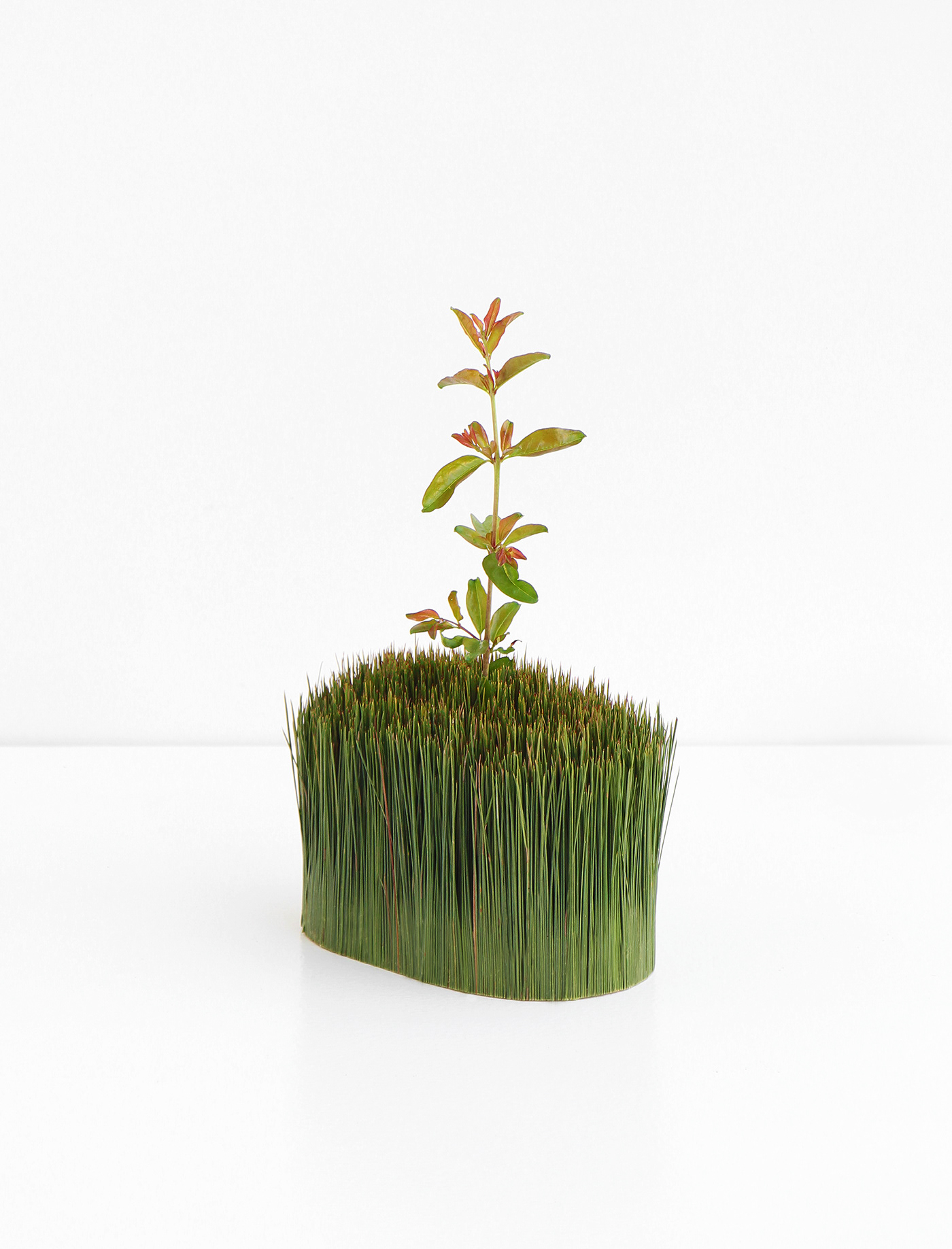 Outside / Inside，container，Store things，