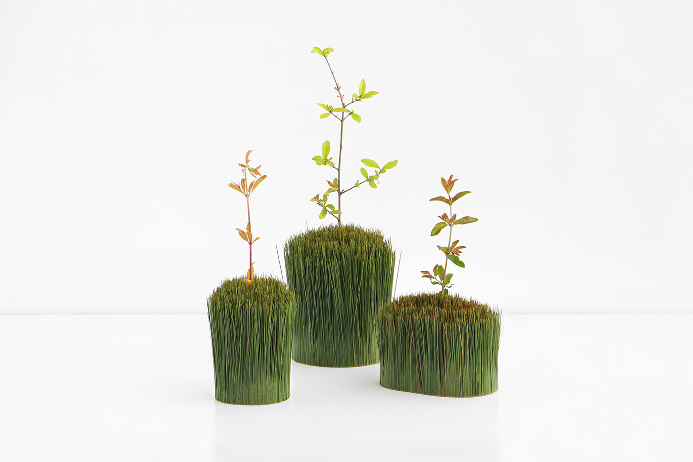 Outside / Inside，container，Store things，