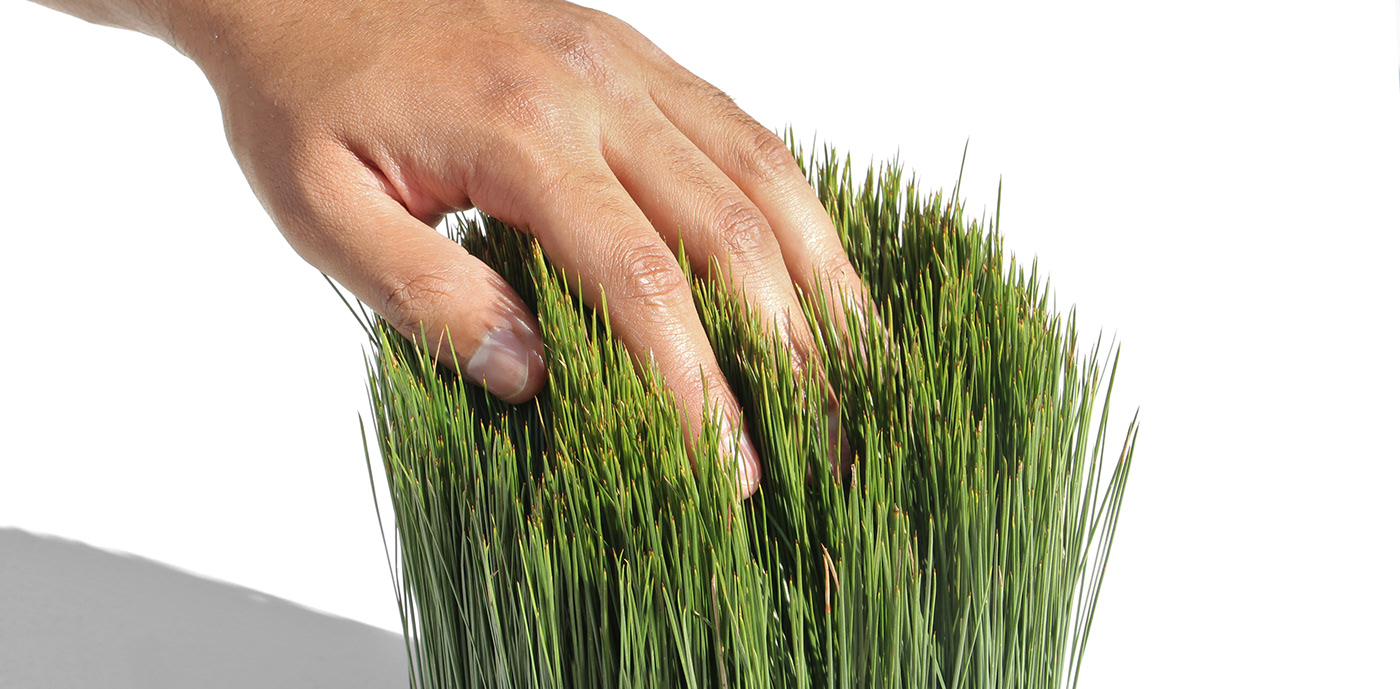 Outside / Inside，container，Store things，