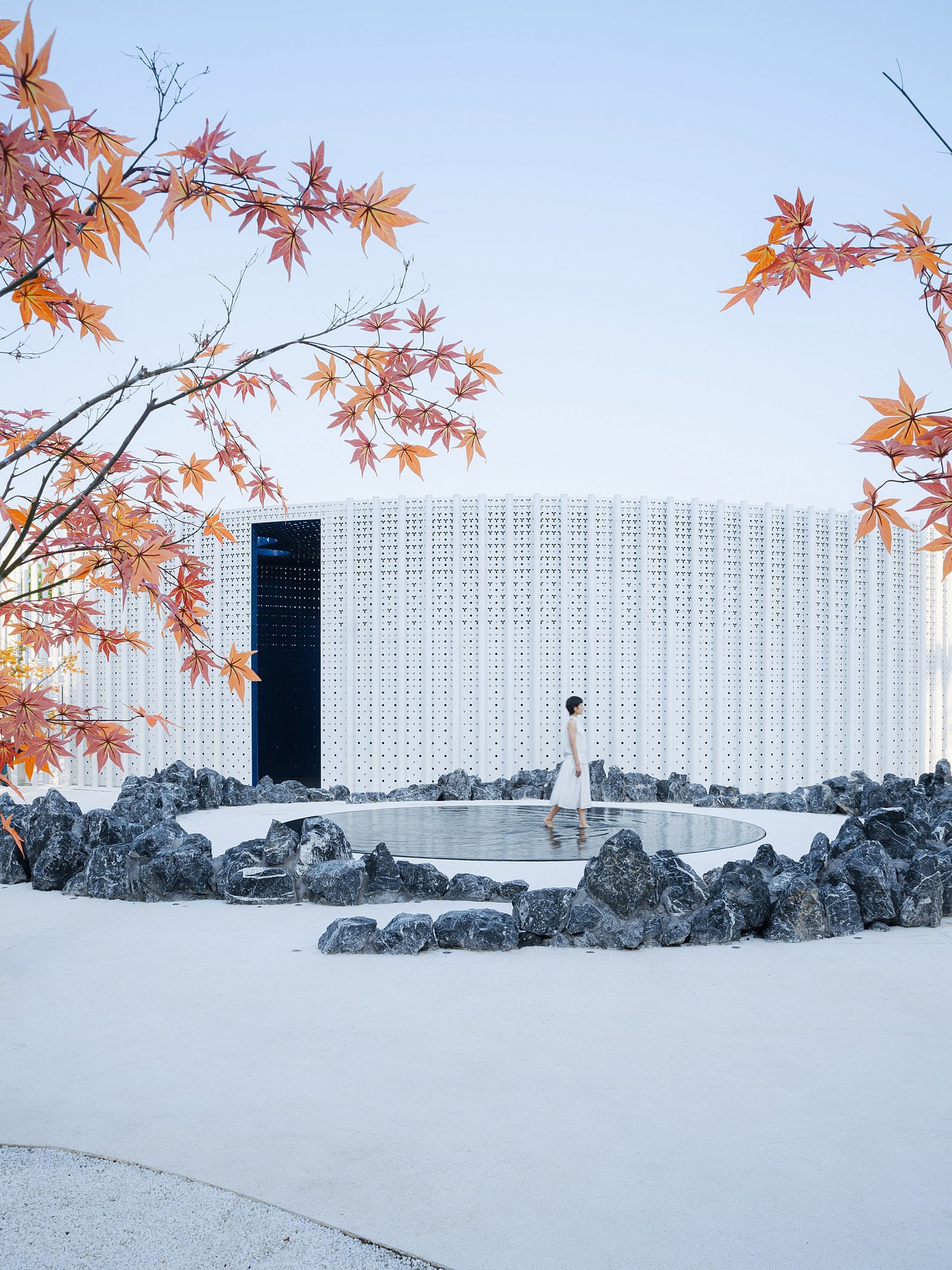 Wutopia Lab，Yu Ting，a deep forest，petal，white，garden，