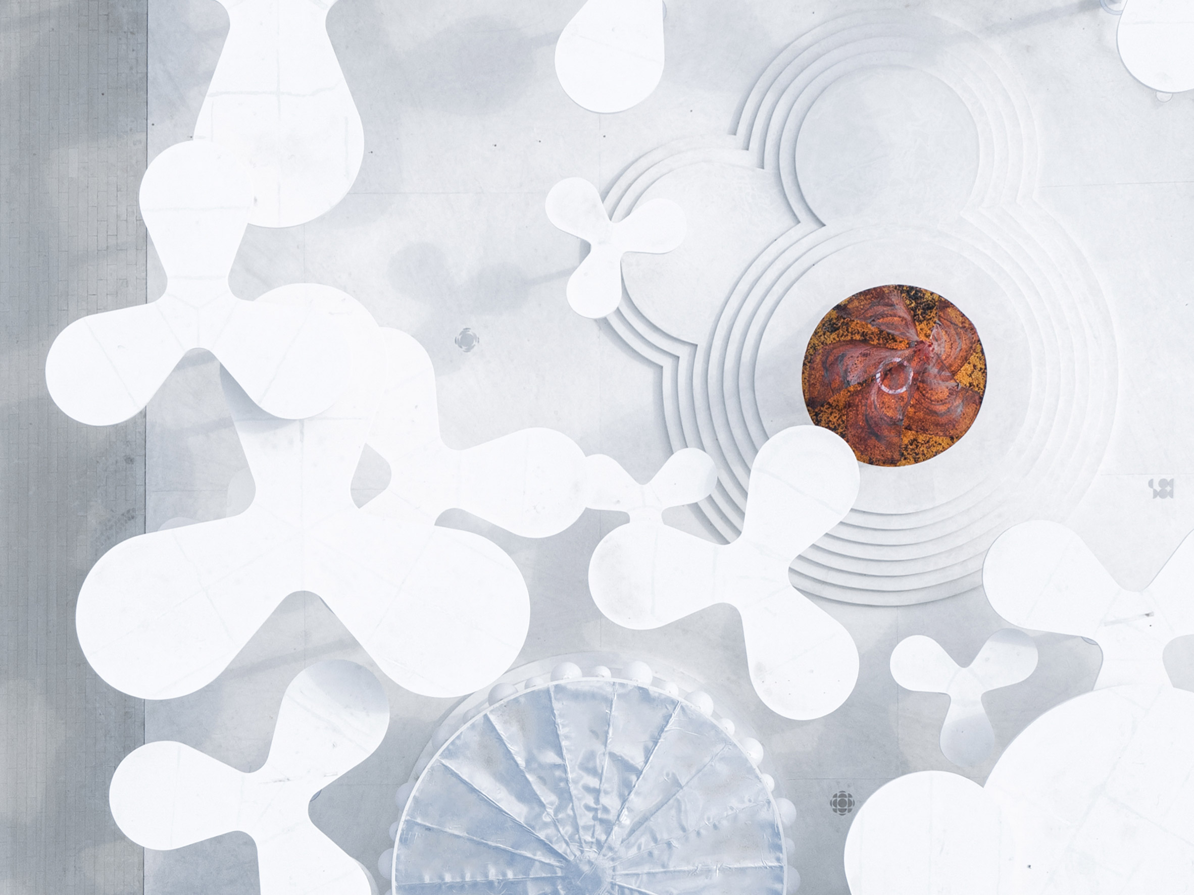 Wutopia Lab，Yu Ting，a deep forest，petal，white，garden，