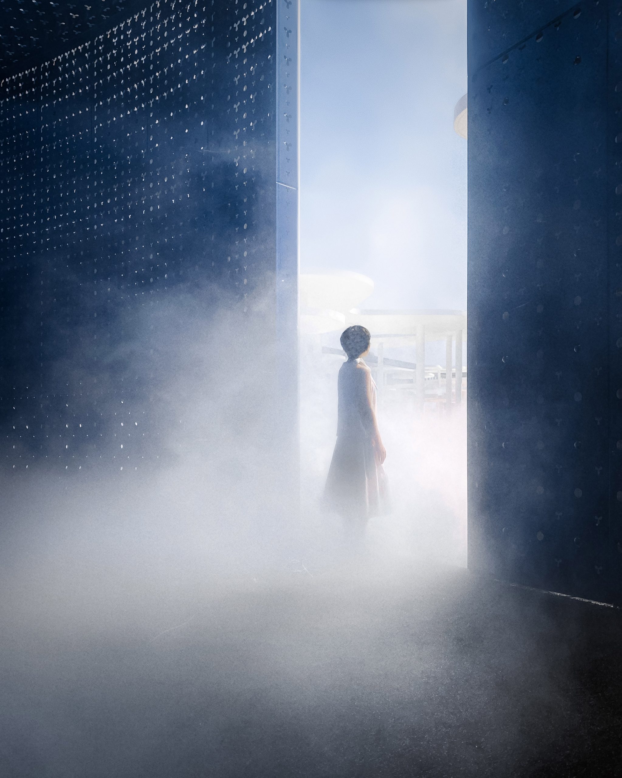 Wutopia Lab，Yu Ting，a deep forest，petal，white，garden，