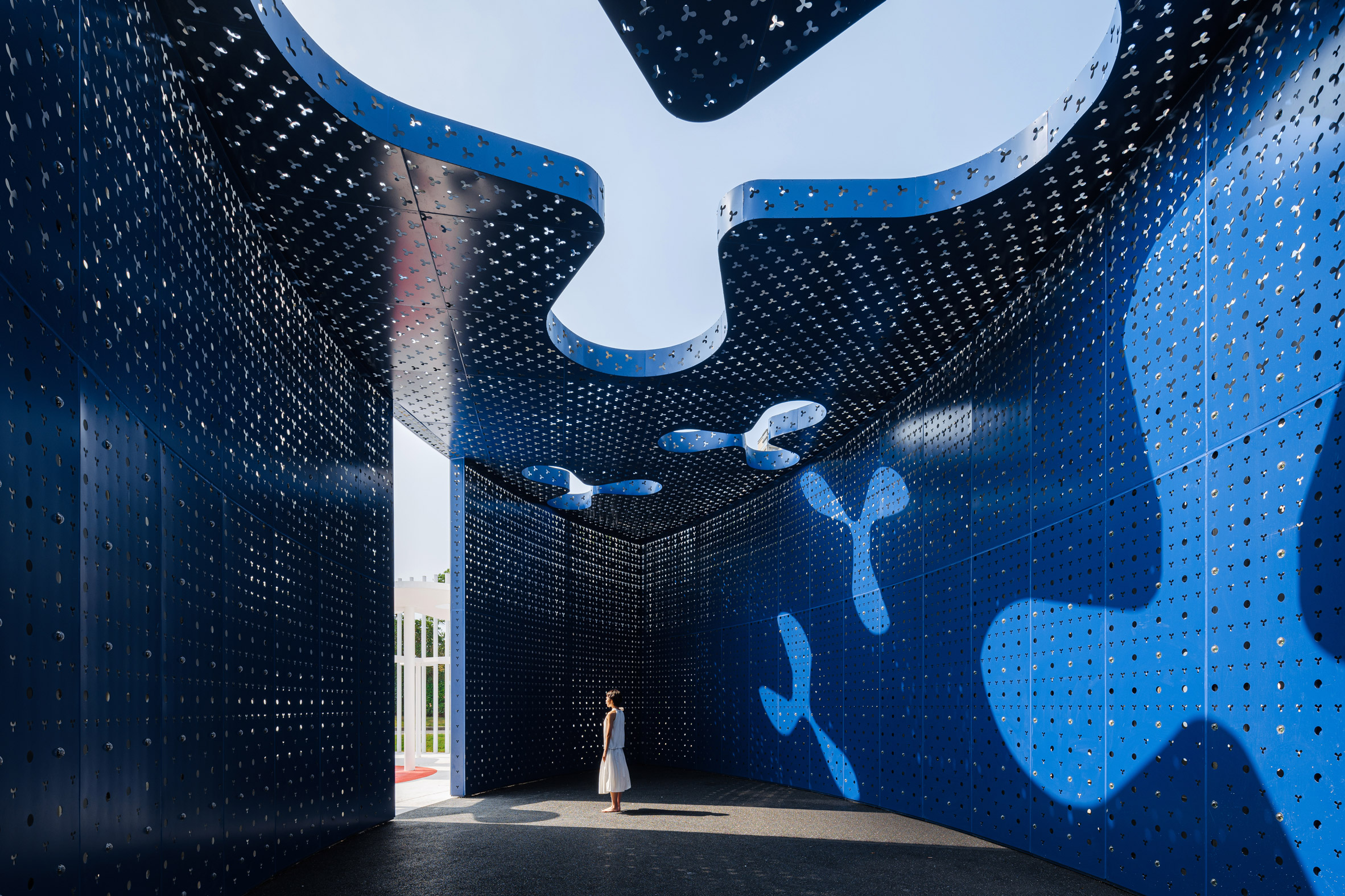 Wutopia Lab，Yu Ting，a deep forest，petal，white，garden，