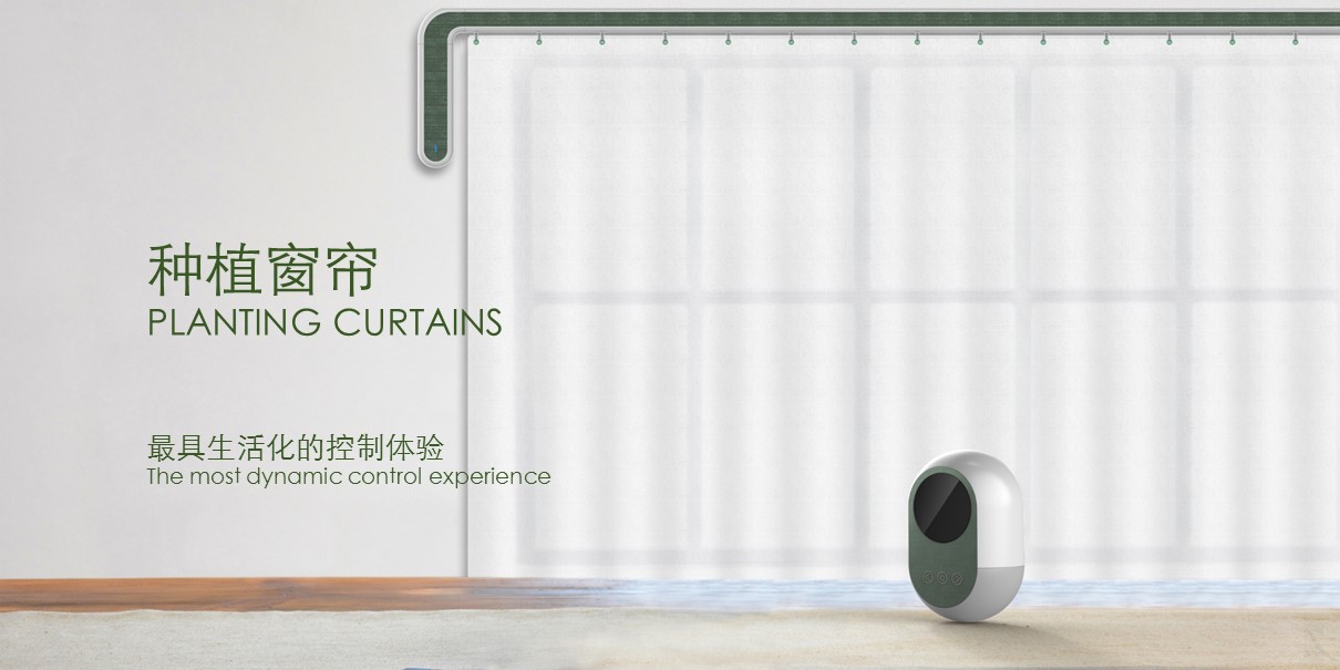window curtains，