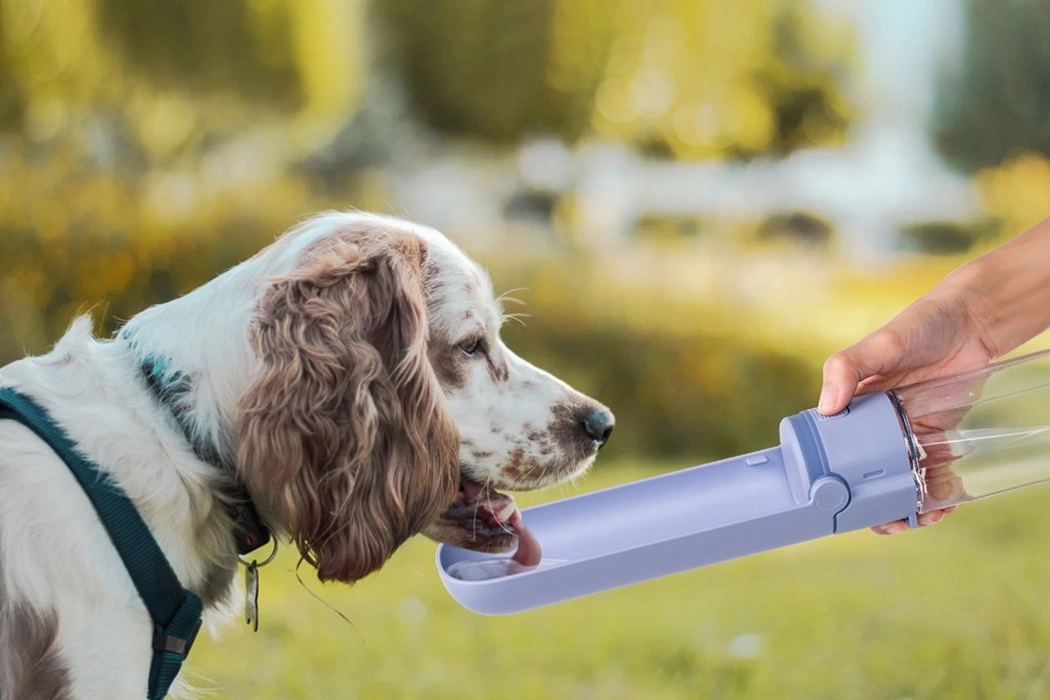 Minutes，Water bottle，Pet Supplies & Pet，Outdoor water bottle，