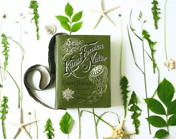 knapsack，a bag，World famous works，product design，Alternative design，