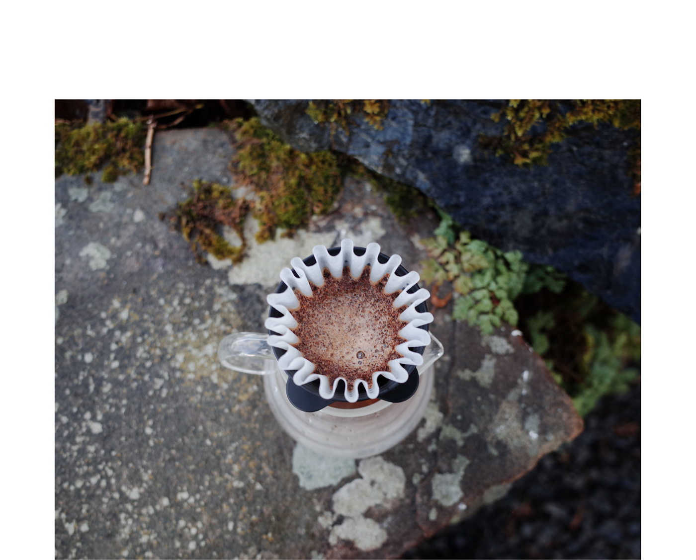 Loreal，coffee brewer，OREA，Coffee maker，