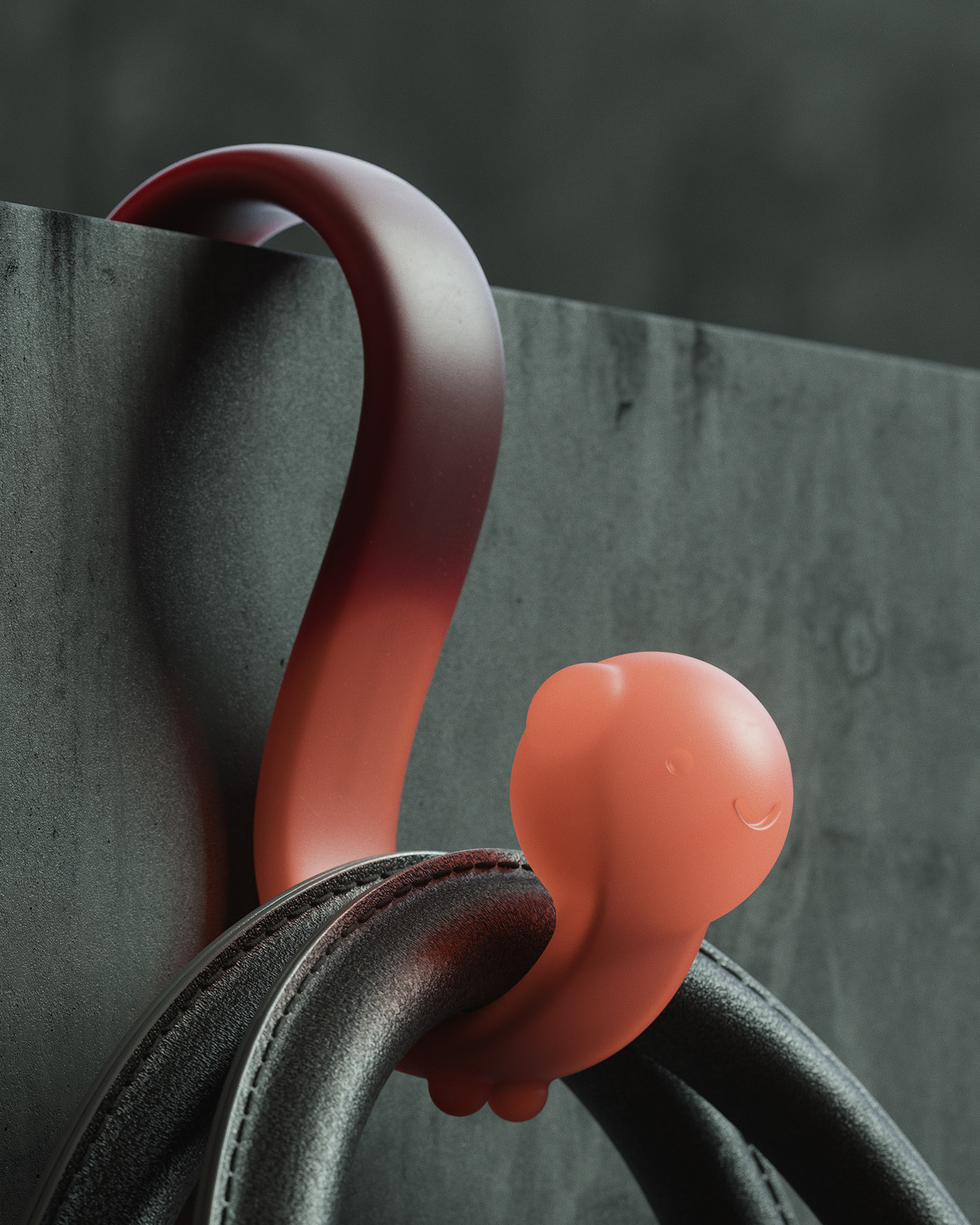 Accessories，package，hook，a hook，