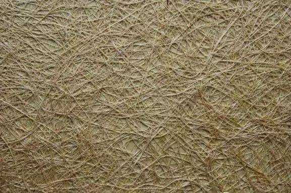 How to highlight your personality?，