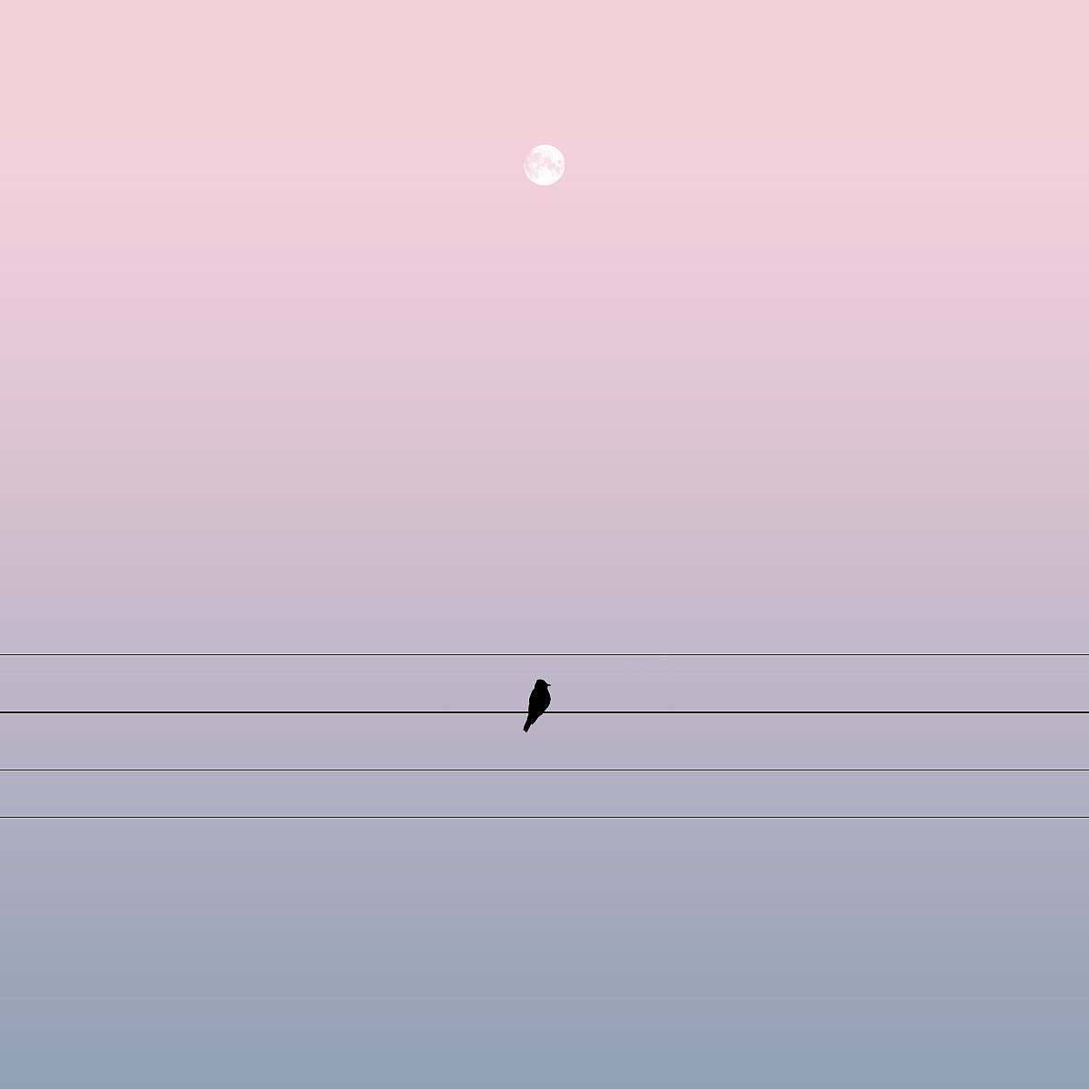 Minimalism，Surrealism，Art，Adnan，