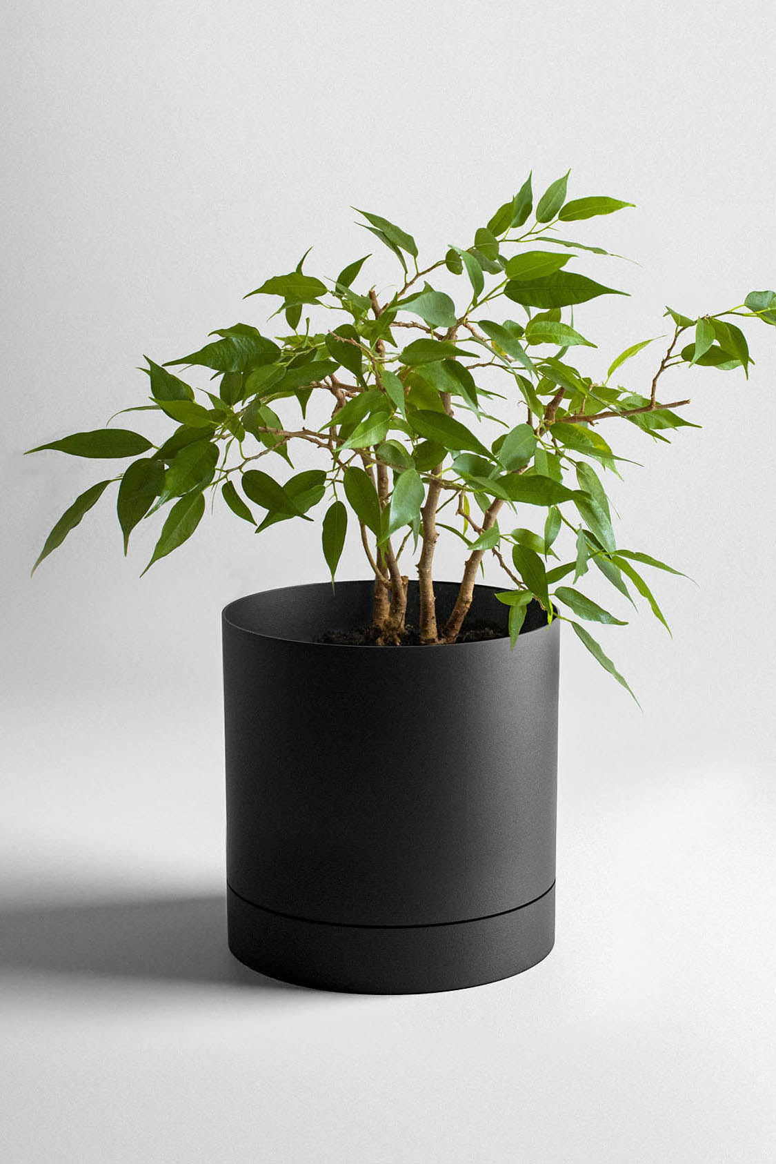 3D printing，kitchen，life，black，