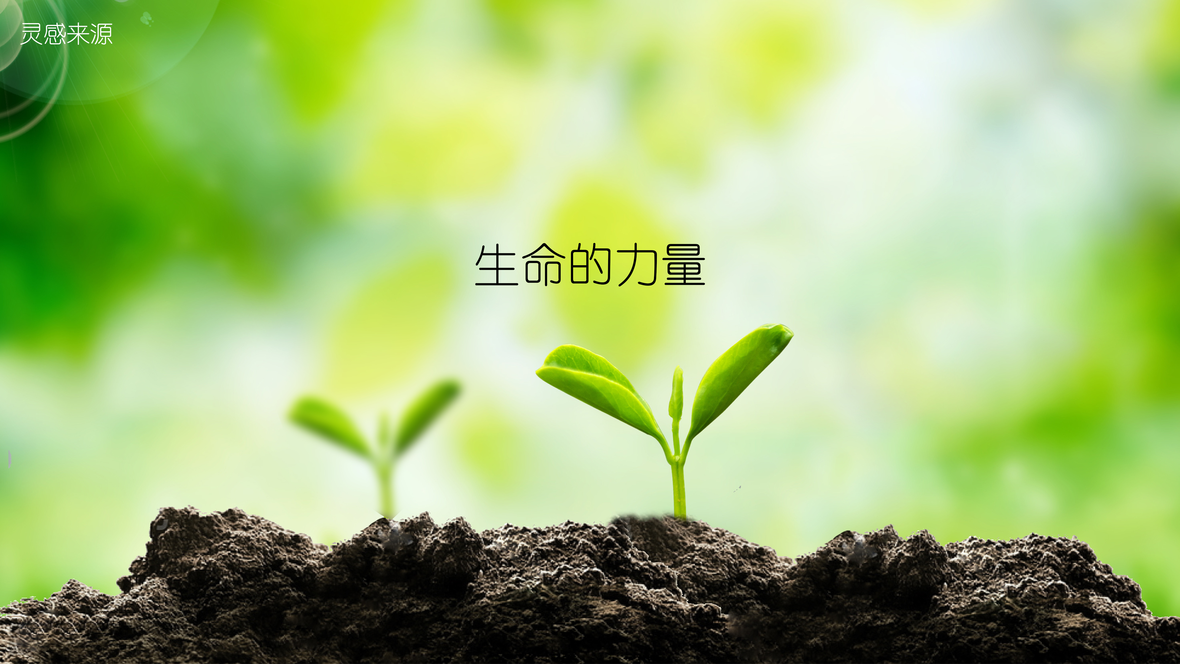 Surveillance camera，