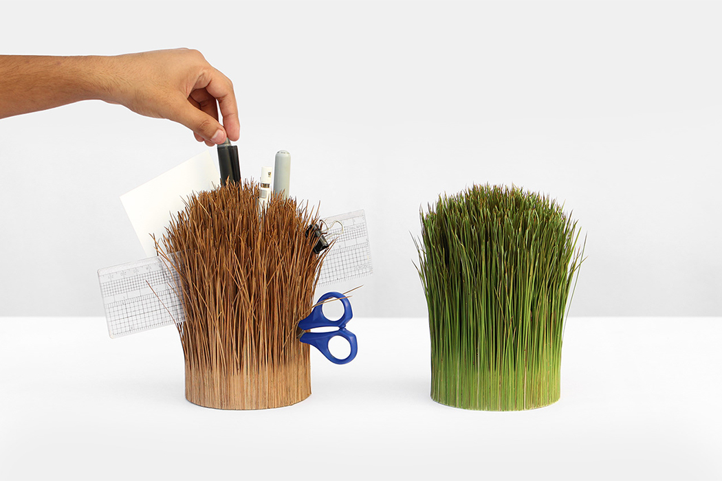 pine needle，Outside/Inside，pen container，Pine needle，natural，