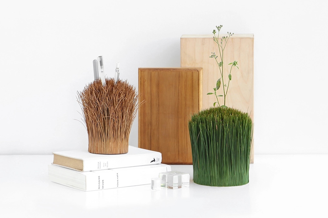 pine needle，Outside/Inside，pen container，Pine needle，natural，