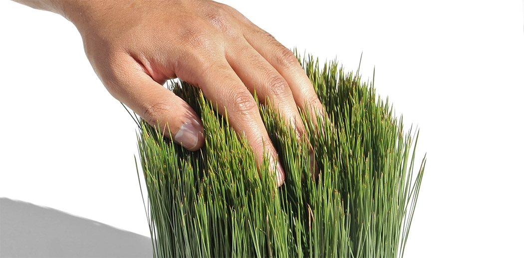 pine needle，Outside/Inside，pen container，Pine needle，natural，