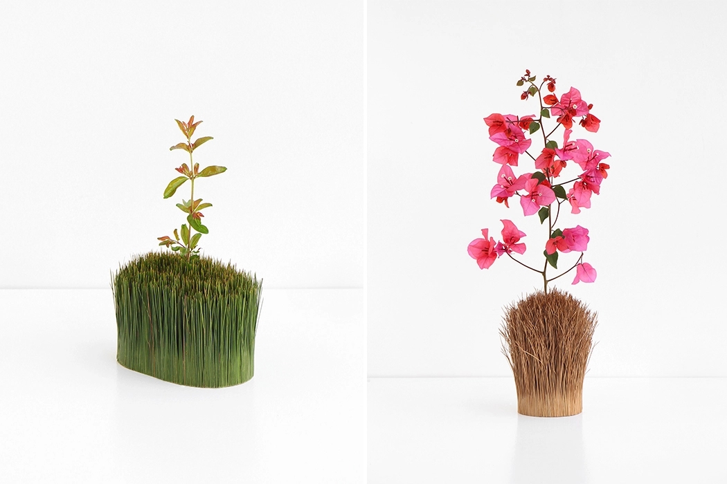 pine needle，Outside/Inside，pen container，Pine needle，natural，