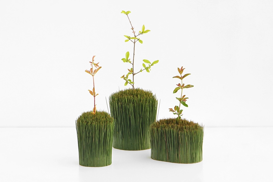 pine needle，Outside/Inside，pen container，Pine needle，natural，