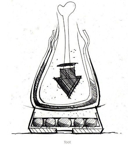 gym shoes，designer，