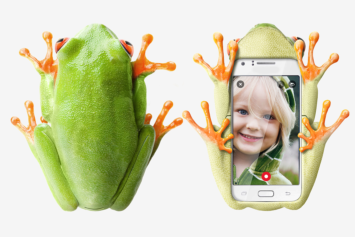 frog，Mobile phone shell，rubber，lovely，