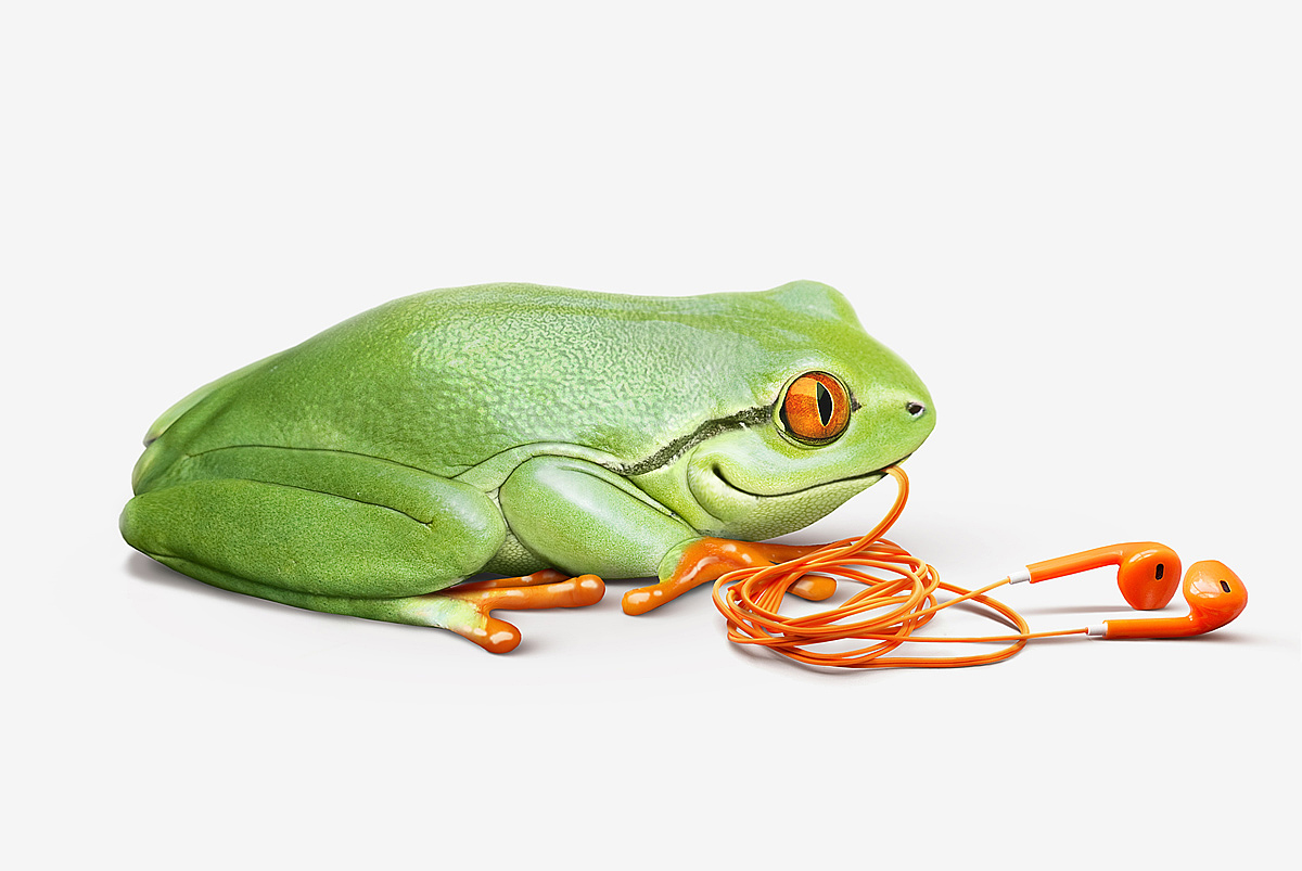 frog，Mobile phone shell，rubber，lovely，