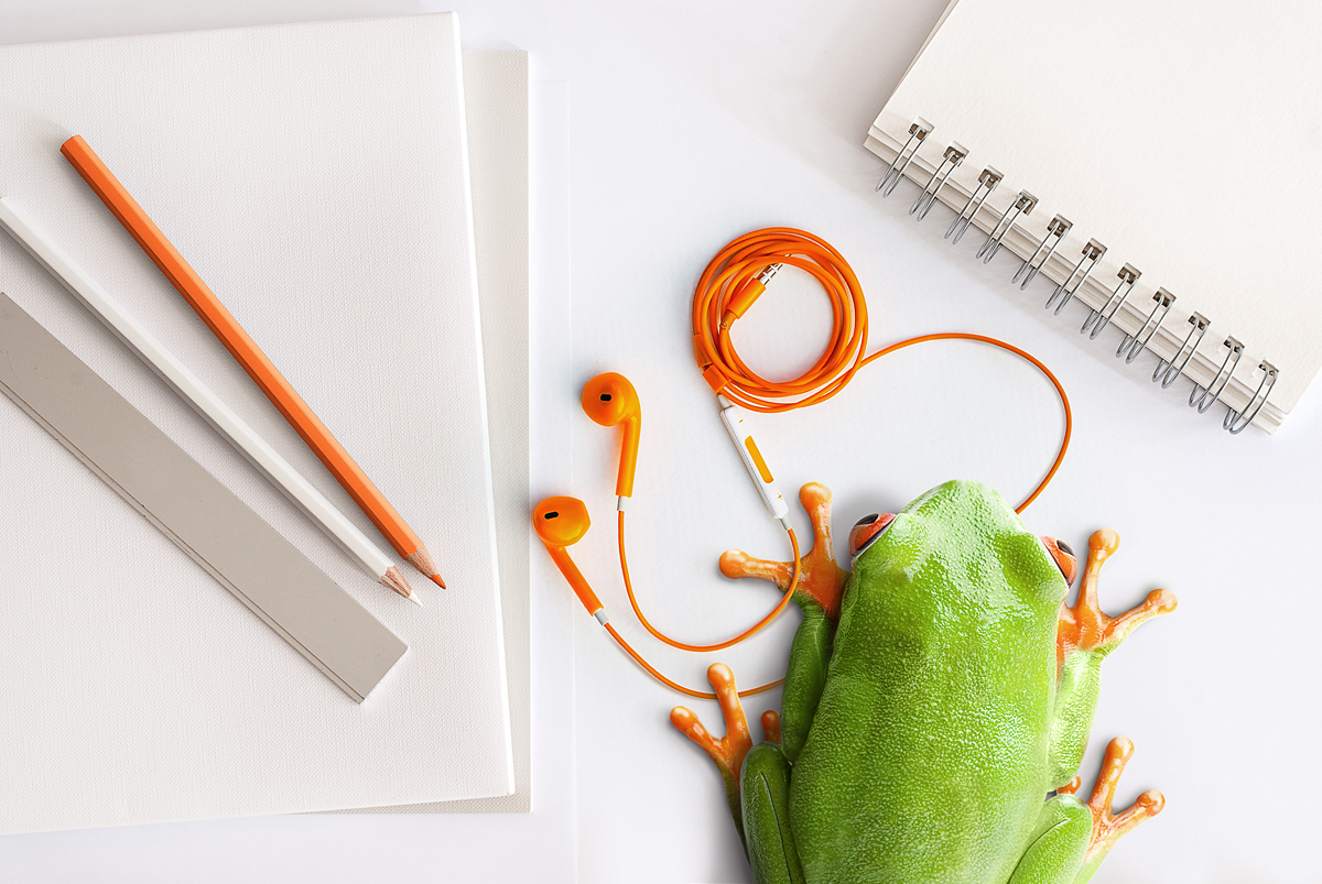 frog，Mobile phone shell，rubber，lovely，