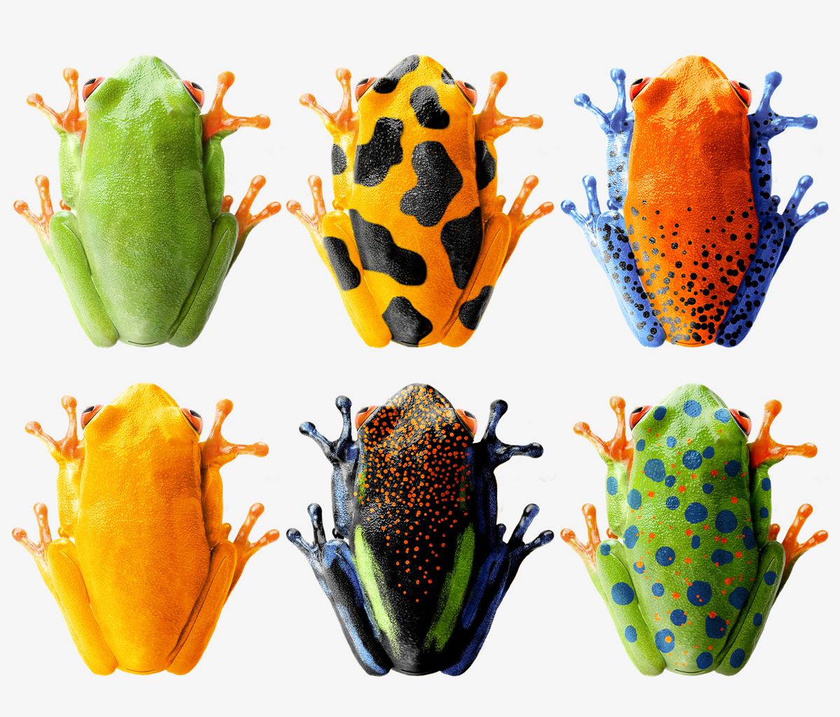 frog，Mobile phone shell，rubber，lovely，