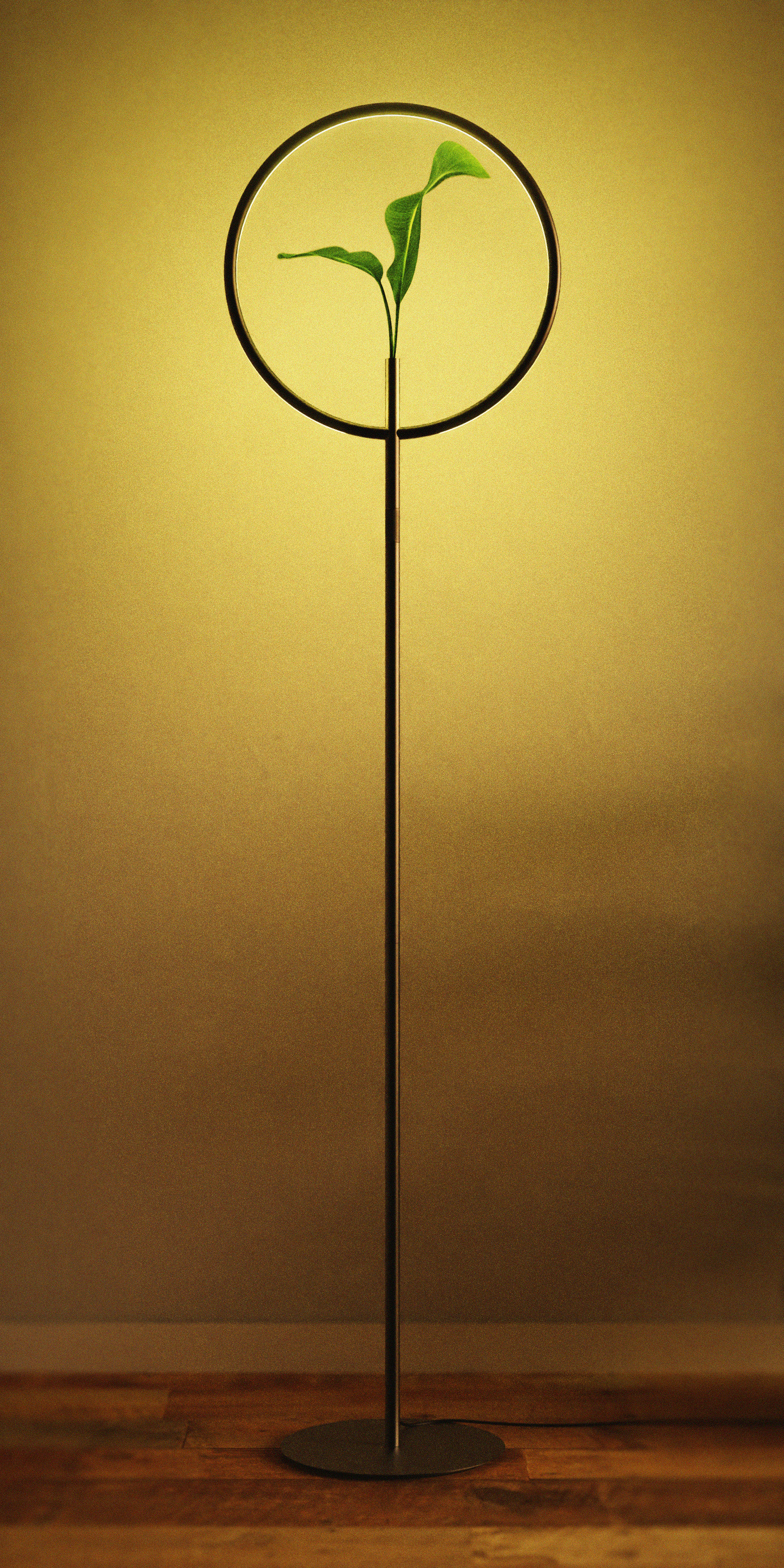 product design，vase，lamp，