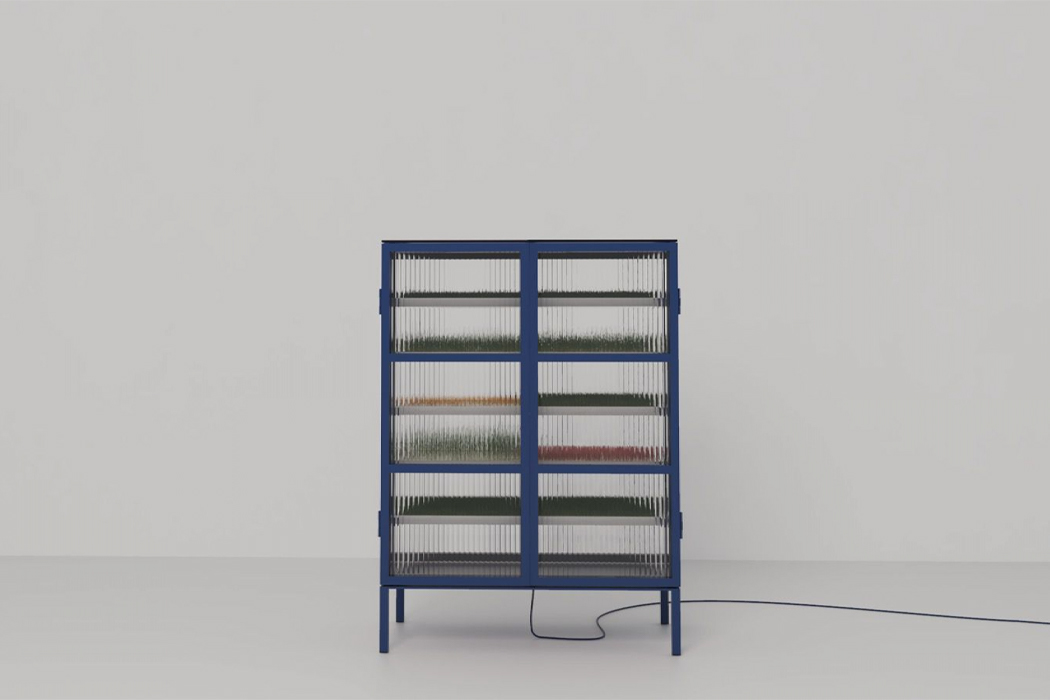 Farmhouse，Hydroponic culture，Planting on any site，sunshine，