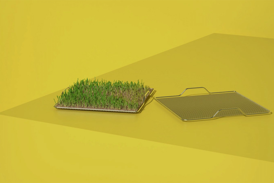 Farmhouse，Hydroponic culture，Planting on any site，sunshine，