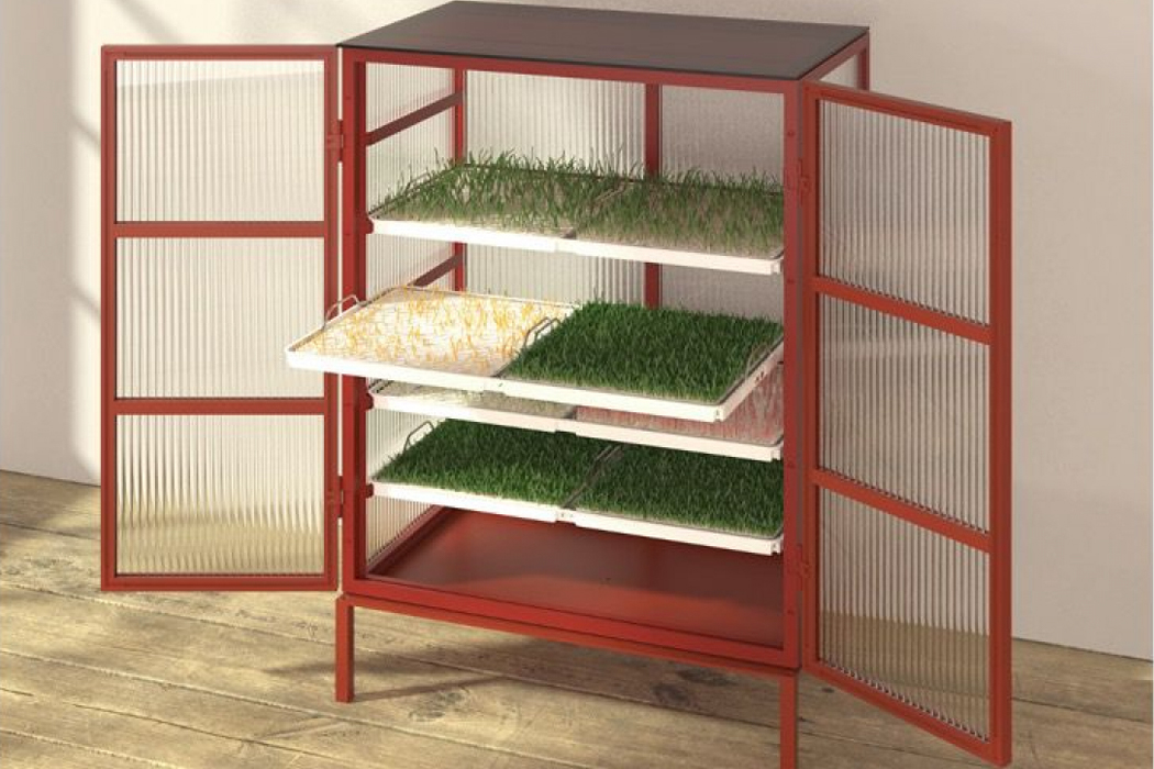 Farmhouse，Hydroponic culture，Planting on any site，sunshine，