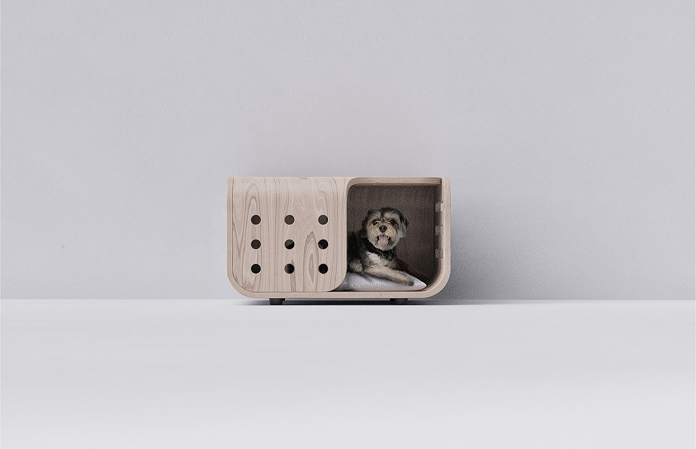 Pet room，space，Pets，