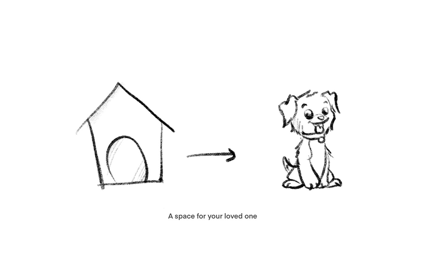 Pet room，space，Pets，