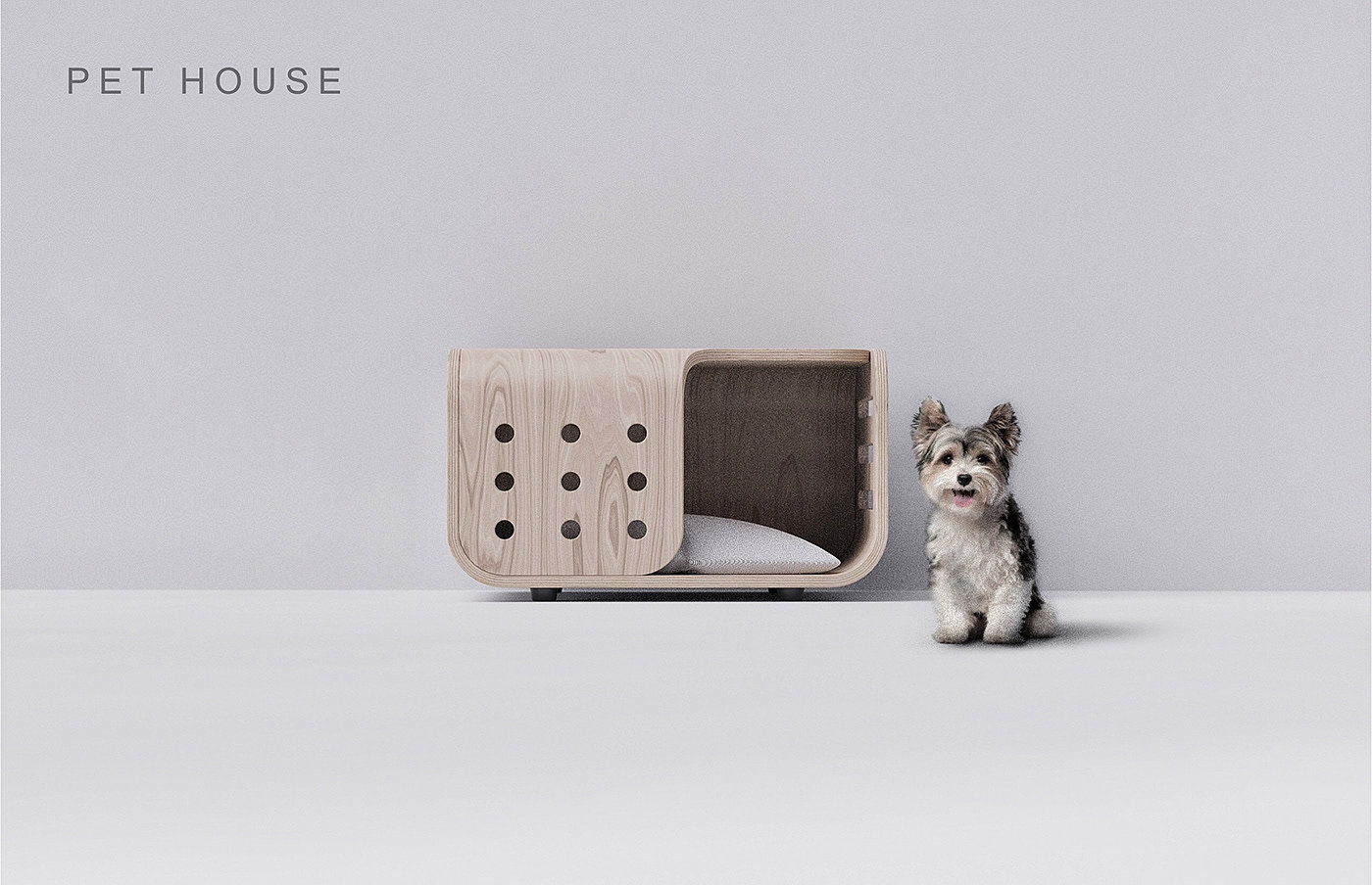Pet room，space，Pets，