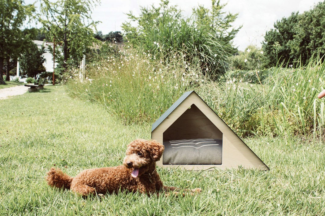  Discover the Ultimate Guide to Terrace Pets: Your Perfect Companions for Outdoor Living